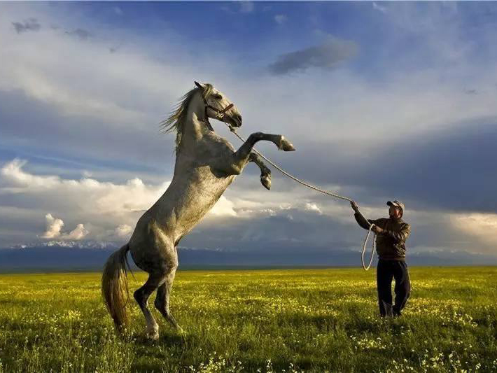 新疆土特產(chǎn)-伊犁