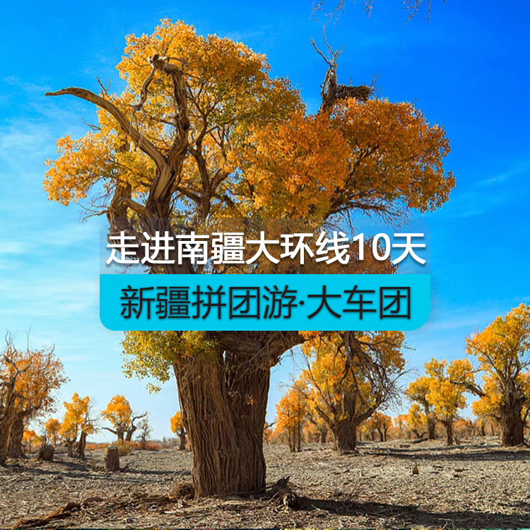 【新疆拼團(tuán)游·大車團(tuán)】走近南疆大環(huán)線10日游（景點(diǎn)包含：博斯騰湖、輪臺(tái)胡楊林、359旅紀(jì)念館、沙漠公路、莎車?yán)铣?、白沙湖、喀拉庫勒湖、開城儀式、達(dá)瓦昆沙漠、天山托木爾大峽谷）線路編號(hào)：11447