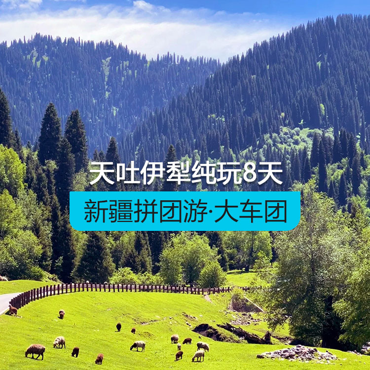 【新疆拼團游·大車團】北疆天池吐魯番伊犁草原賽里木湖湖獨庫公路純玩8日游（景點包含：賽里木湖+霍爾果斯口岸+薰衣草+庫爾德寧+那拉提草原+獨庫公路北段+天池+吐魯番）線路編號：11277