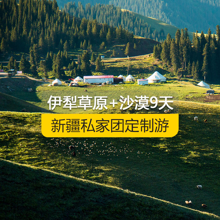 【新疆·北疆·私家團(tuán)定制游·9天8晚】北疆伊犁草原沙漠純玩9日游（景點(diǎn)包含：獨(dú)山子大峽谷+賽里木湖+解憂公主薰衣草農(nóng)場(chǎng)+那拉提空中草原+巴音布魯克天鵝湖+獨(dú)庫(kù)公路+唐布拉百里畫廊+天山天池+國(guó)際大巴扎+交河故城+吐峪溝+鄯善庫(kù)木塔格沙漠+火焰山+坎兒井+吐魯番葡萄溝）產(chǎn)品編號(hào) : 11337