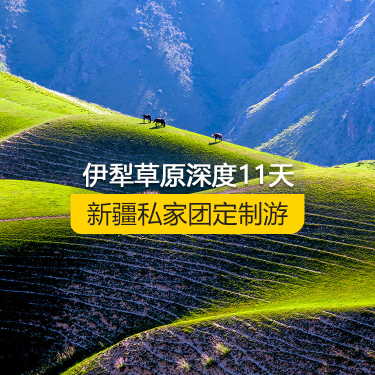 【新疆·北疆·私家團定制游·11天10晚】北疆伊犁草原全景深度純玩11日游（景點包含：獨山子大峽谷+賽里木湖+解憂公主薰衣草農(nóng)場+伊昭公路+昭蘇濕地公園天馬浴河+夏塔古道+昭蘇油菜花（途觀）+瓊庫什臺村+喀拉峻+特克斯八卦城+庫爾德寧+恰西景區(qū)+那拉提空中草原+巴音布魯克+獨庫公路+唐布拉百里畫廊+S101省道丹霞風光+國際大巴扎）產(chǎn)品編號 : 11334